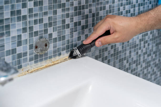 Best Local Mold Removal Service  in Ozona, TX
